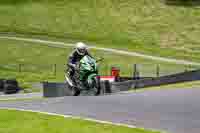 Lower Group Green Bikes